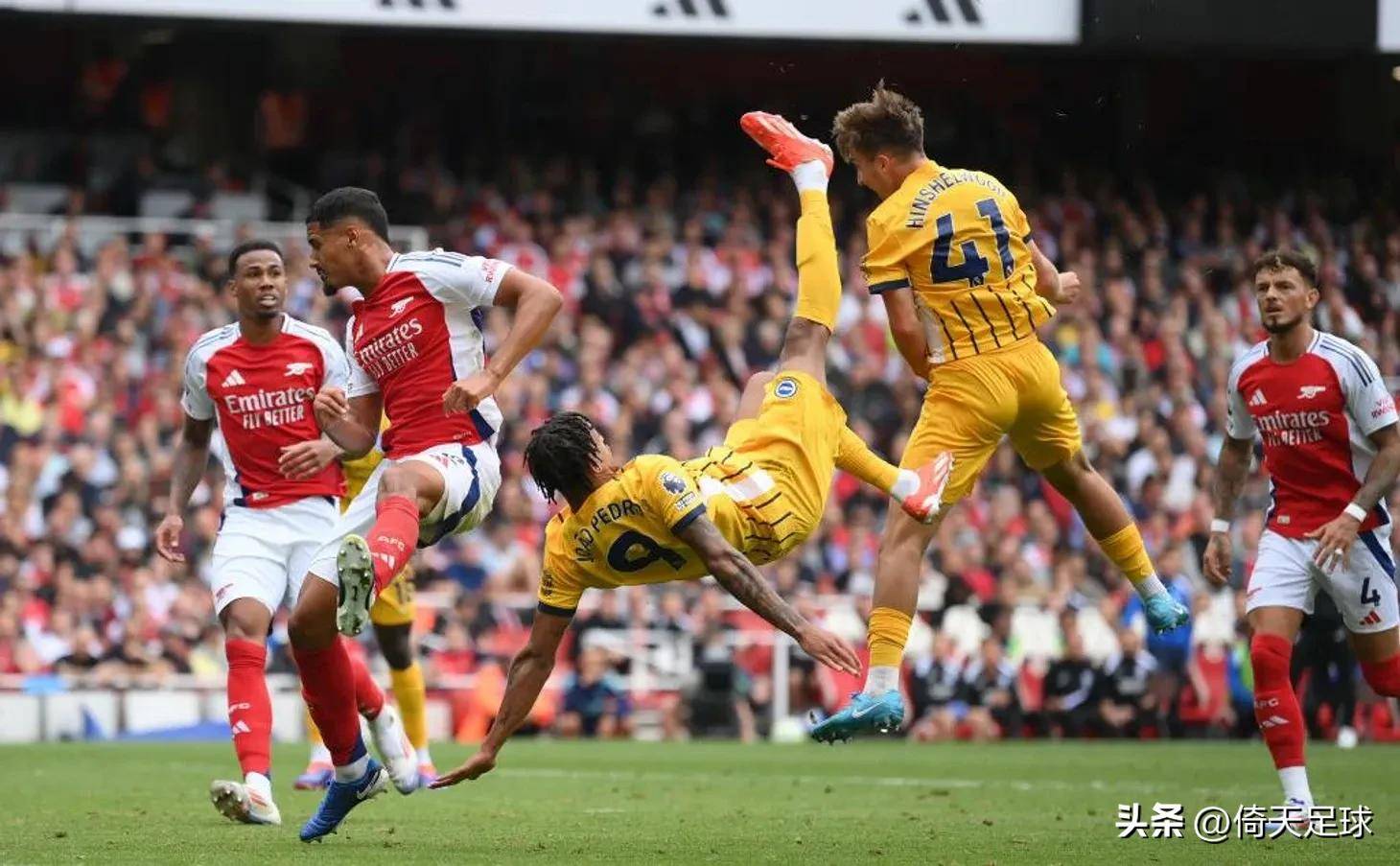 它们的共同 它们的共同